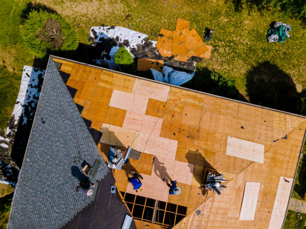 Best Metal Roofing Contractor  in Port Edwards, WI