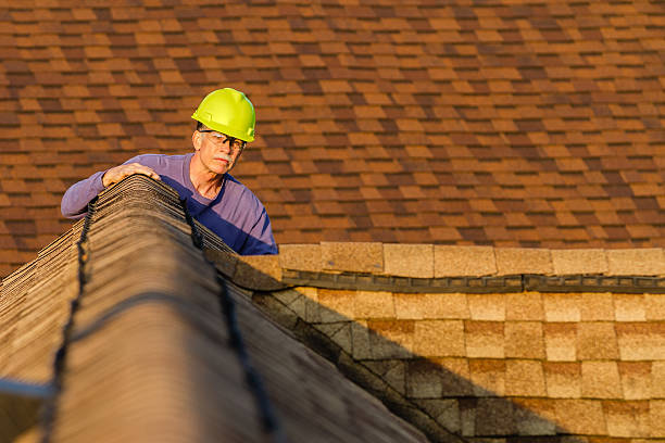 Best Local Roofing Companies  in Port Edwards, WI