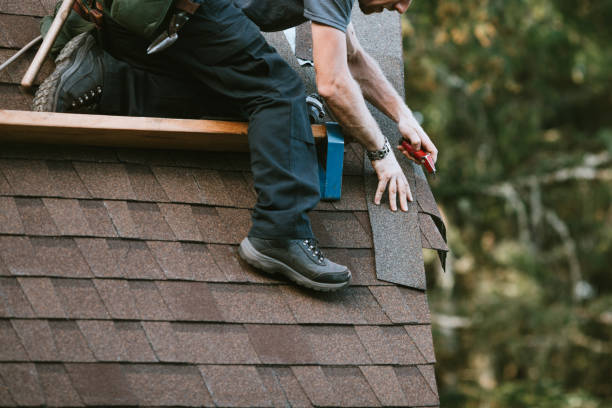 Best Roof Maintenance Services  in Port Edwards, WI