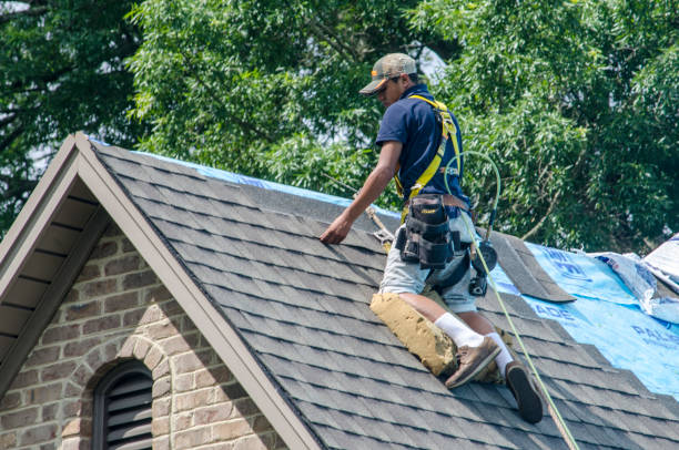 Best Gutter Installation and Roofing  in Port Edwards, WI